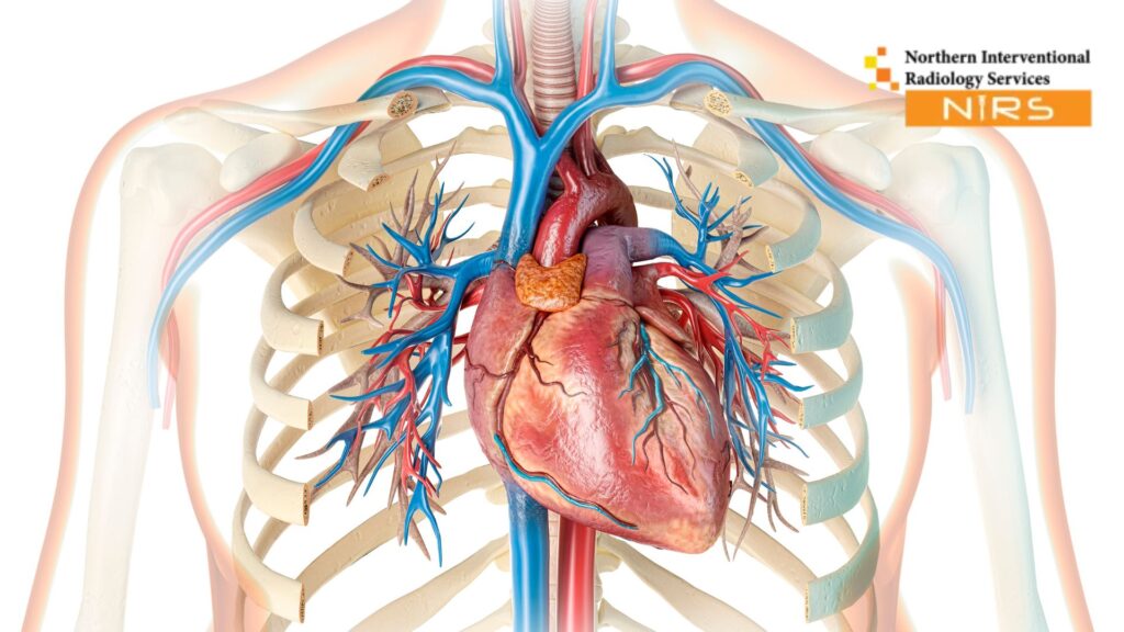 A highly skilled NIRS cardiologist performing advanced heart angiography in Multan using state-of-the-art imaging technology for accurate diagnosis of coronary artery blockages, ensuring precision, safety, and expert cardiac care in a modern clinical environment.